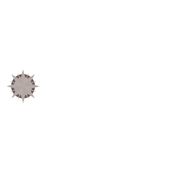 South City International School